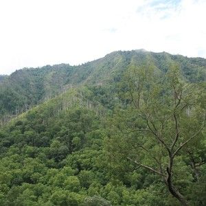 Meet your Posher, Christen